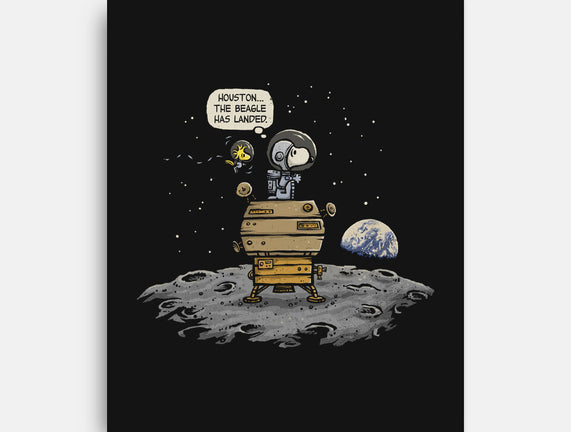 The Beagle Has Landed