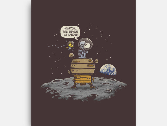 The Beagle Has Landed