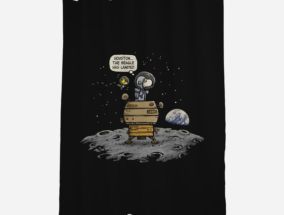 The Beagle Has Landed