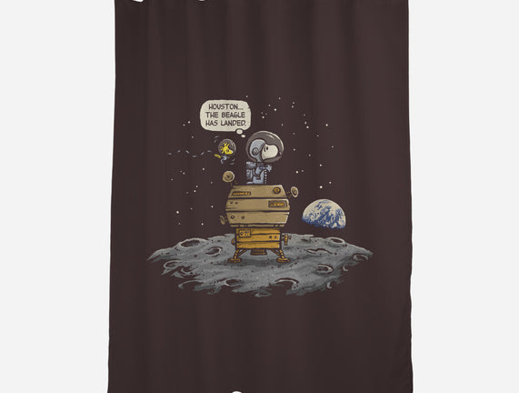 The Beagle Has Landed