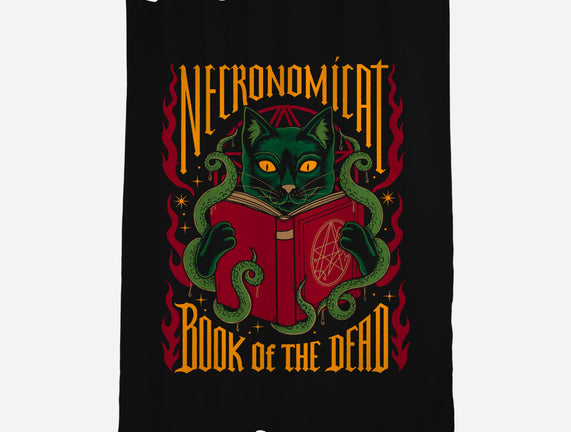 Necronomicat