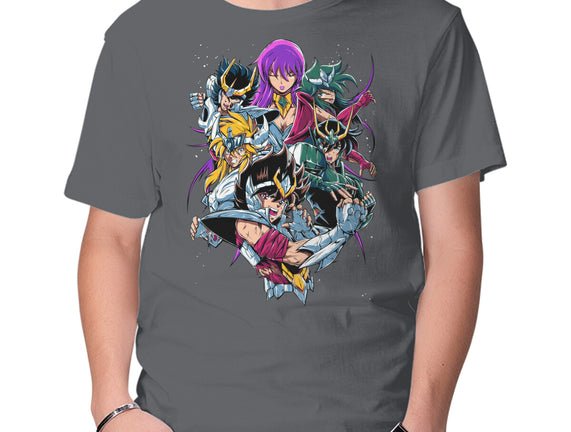 Zodiac Heroes