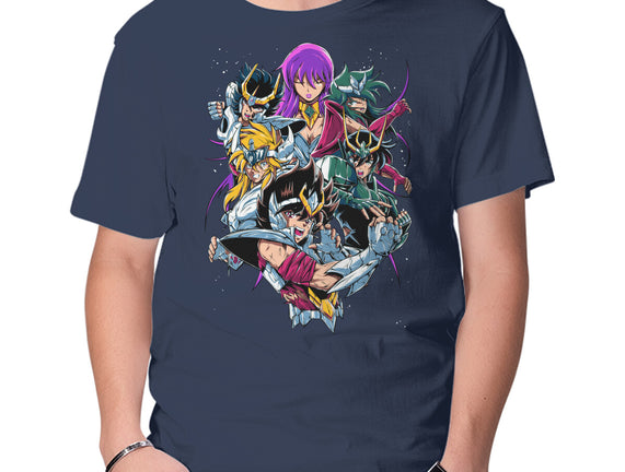 Zodiac Heroes