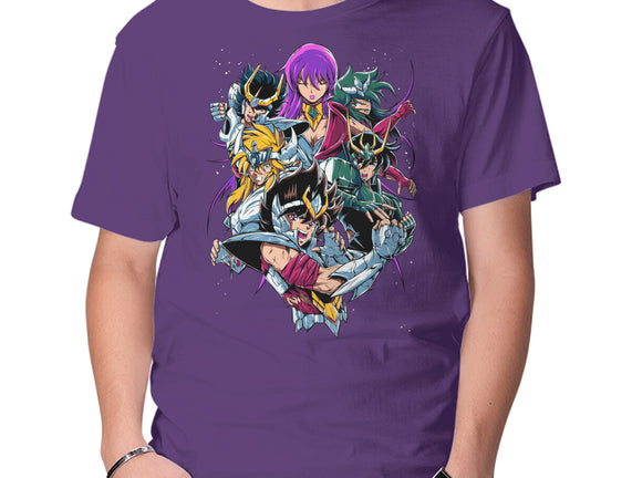 Zodiac Heroes