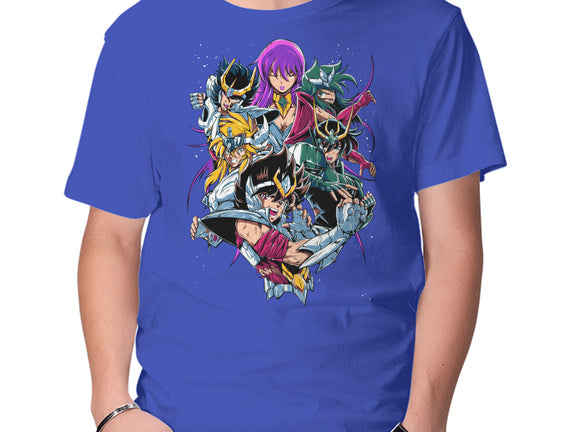 Zodiac Heroes