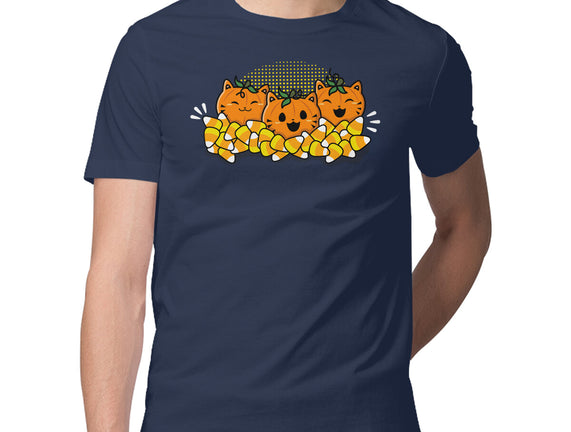 Pumpkin Cats