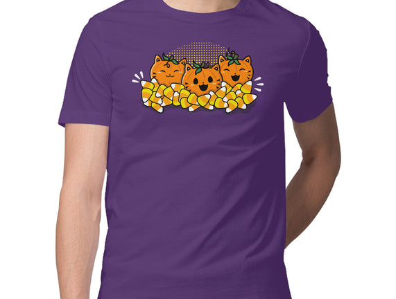Pumpkin Cats