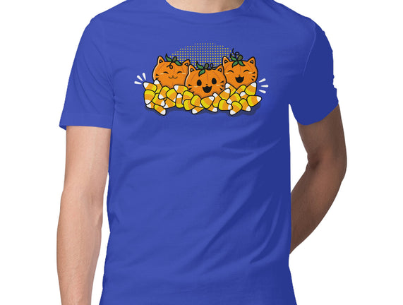 Pumpkin Cats