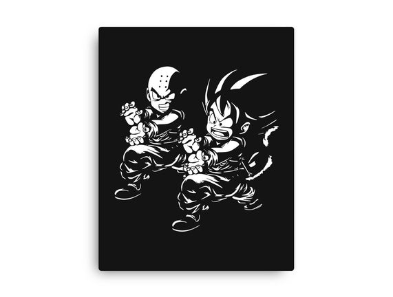 Kame Fiction
