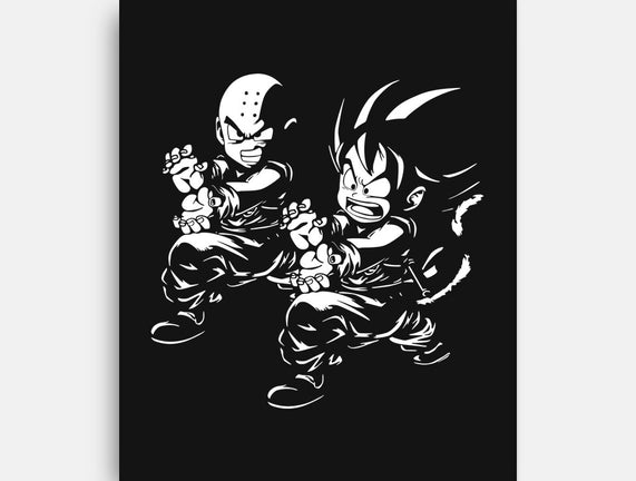 Kame Fiction