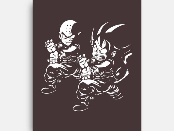 Kame Fiction