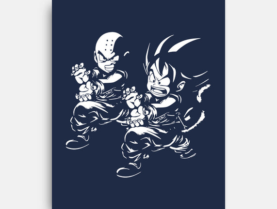 Kame Fiction