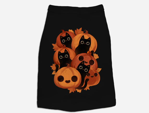 Pumpkins And Black Cats