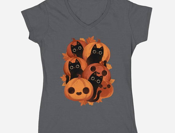 Pumpkins And Black Cats
