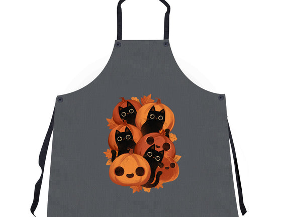 Pumpkins And Black Cats