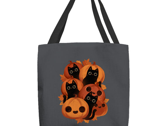 Pumpkins And Black Cats