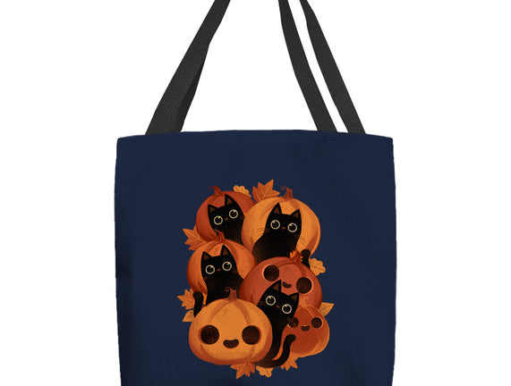 Pumpkins And Black Cats