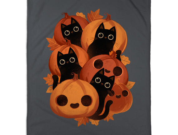 Pumpkins And Black Cats