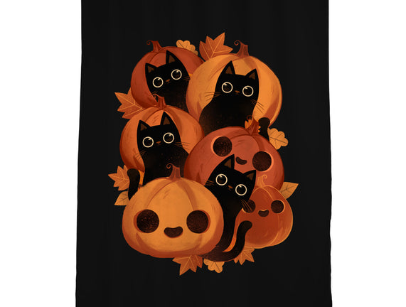 Pumpkins And Black Cats