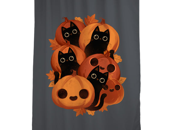 Pumpkins And Black Cats