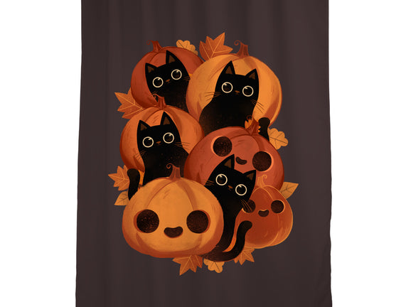 Pumpkins And Black Cats