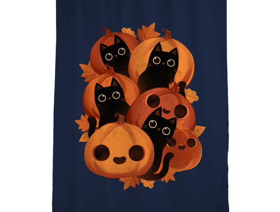 Pumpkins And Black Cats