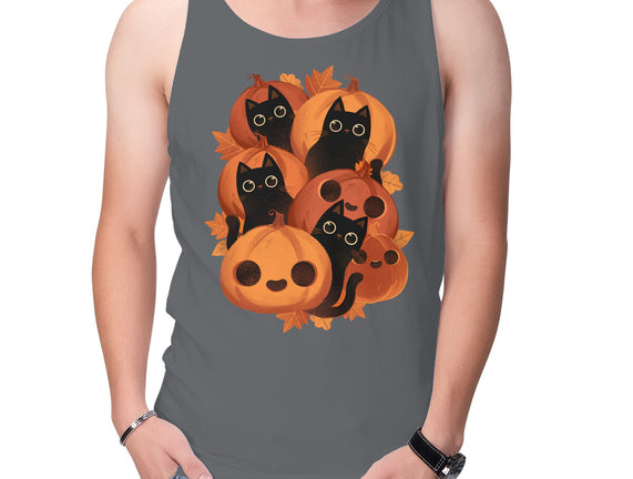 Pumpkins And Black Cats