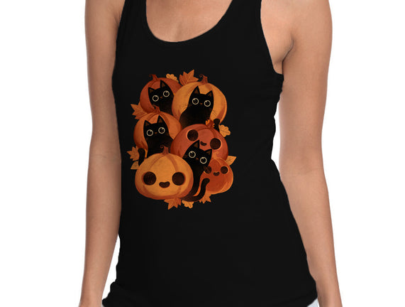 Pumpkins And Black Cats