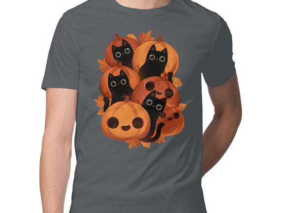 Pumpkins And Black Cats