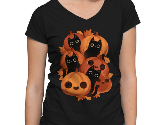 Pumpkins And Black Cats