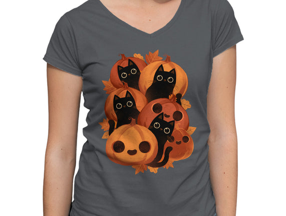 Pumpkins And Black Cats