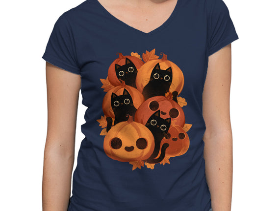 Pumpkins And Black Cats
