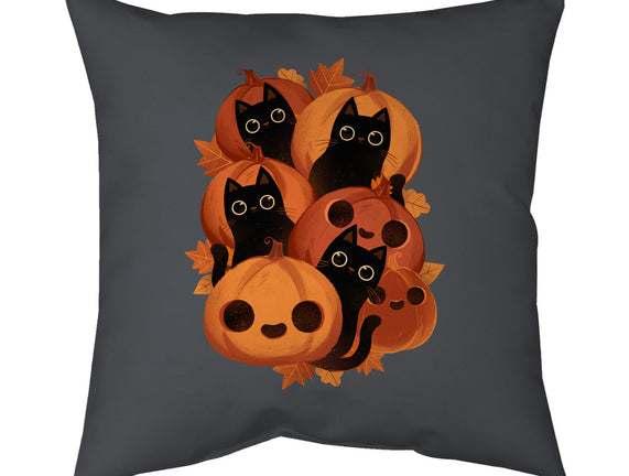 Pumpkins And Black Cats