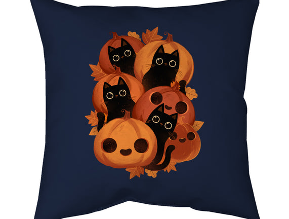 Pumpkins And Black Cats