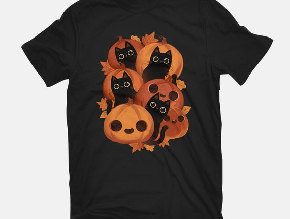 Pumpkins And Black Cats