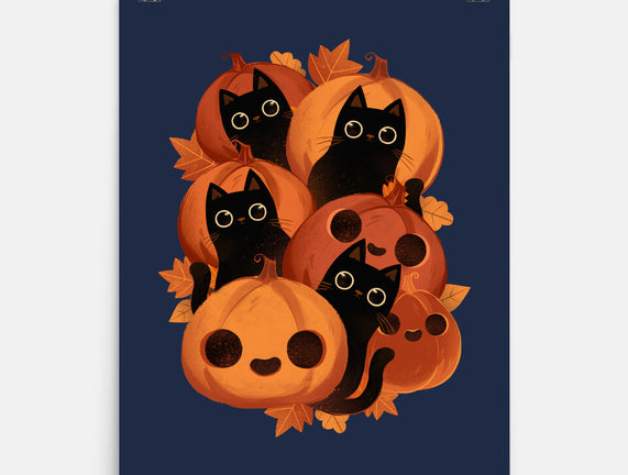 Pumpkins And Black Cats