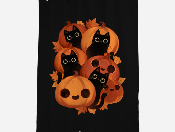Pumpkins And Black Cats