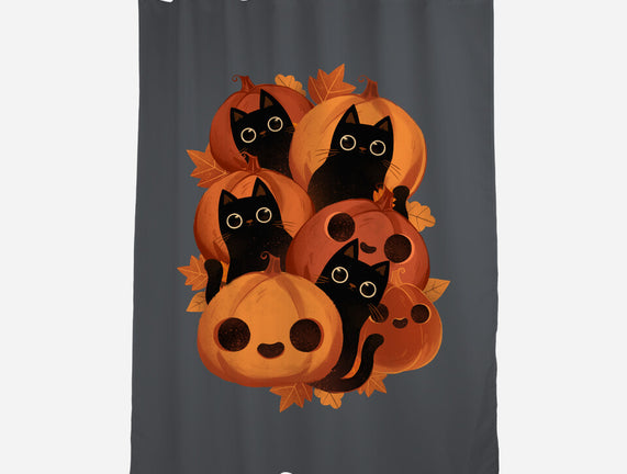 Pumpkins And Black Cats