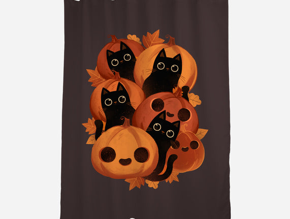 Pumpkins And Black Cats