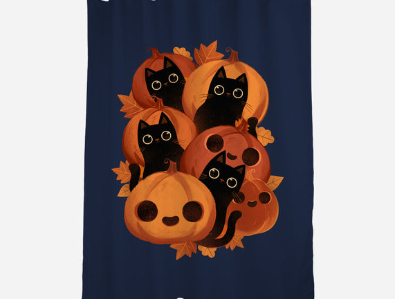 Pumpkins And Black Cats