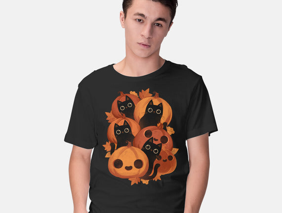 Pumpkins And Black Cats