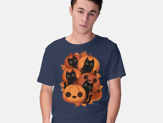 Pumpkins And Black Cats
