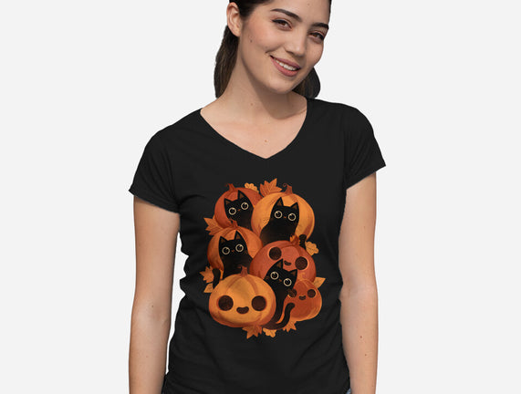 Pumpkins And Black Cats