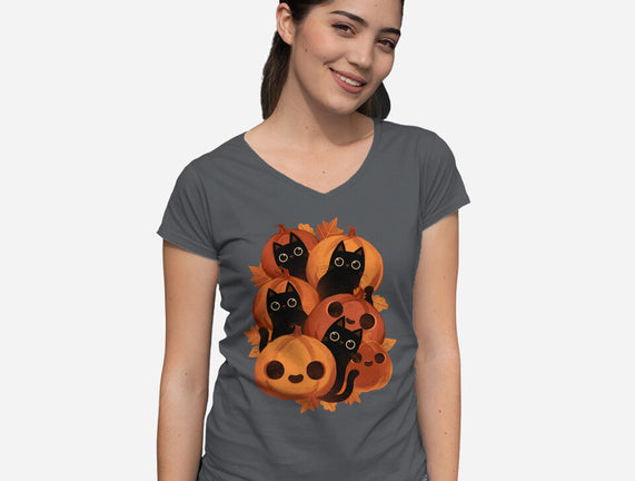Pumpkins And Black Cats