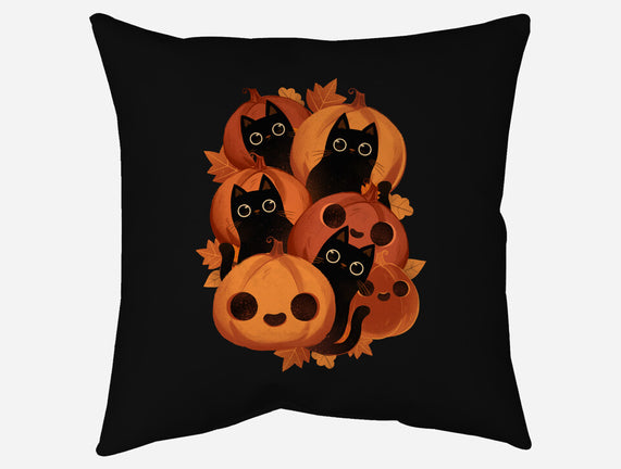 Pumpkins And Black Cats