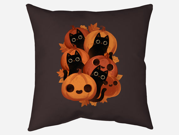 Pumpkins And Black Cats