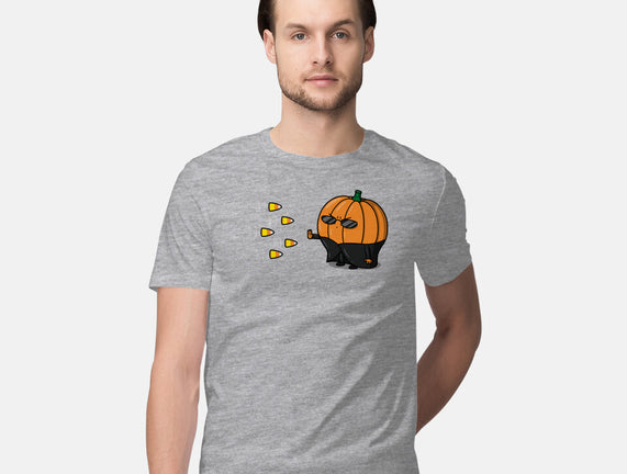 The Chosen Pumpkin