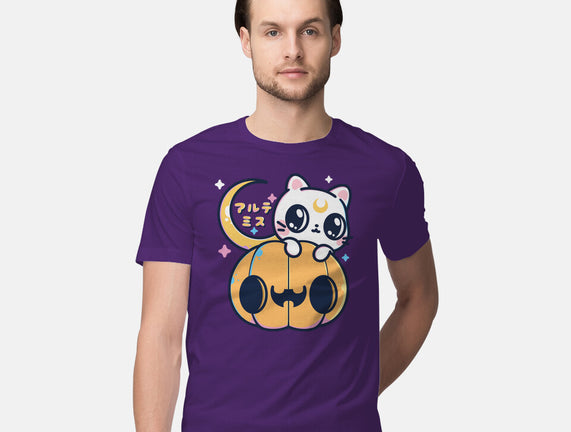 Artemis Halloween Cat