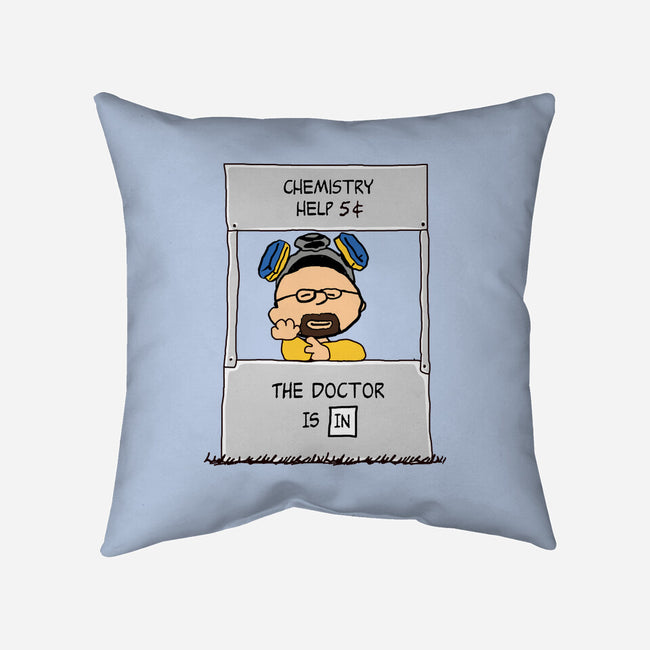 Chemistry Help-none removable cover w insert throw pillow-Melonseta