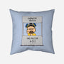 Chemistry Help-none removable cover w insert throw pillow-Melonseta